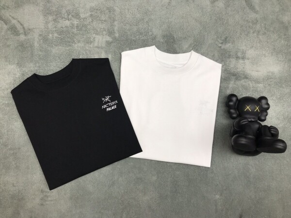 위핑,팔라스 x 아크테릭스 반팔 티셔츠 Palace x Arcteryx T-Shirt