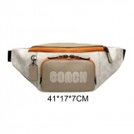 COACH 코치 Track Belt Bag In Colorblock With C8129