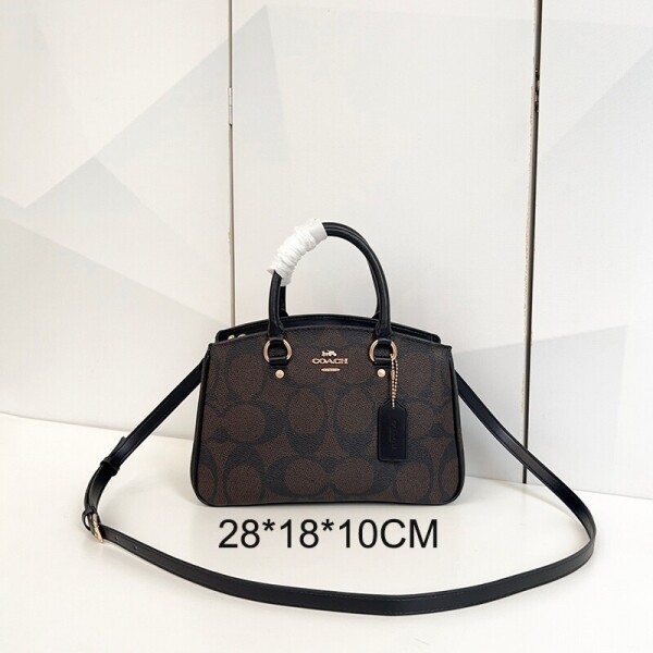 블링크,COACH 코치 사바나 스몰 캐리올 시그니처 캔버스 토트백 CAL53black-brown 실버 화이트 초크