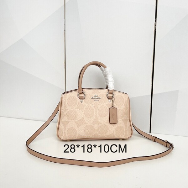 블링크,COACH 코치 사바나 스몰 캐리올 시그니처 캔버스 토트백 CAL53khaki 실버 화이트 초크